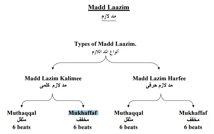 Madd Laazim