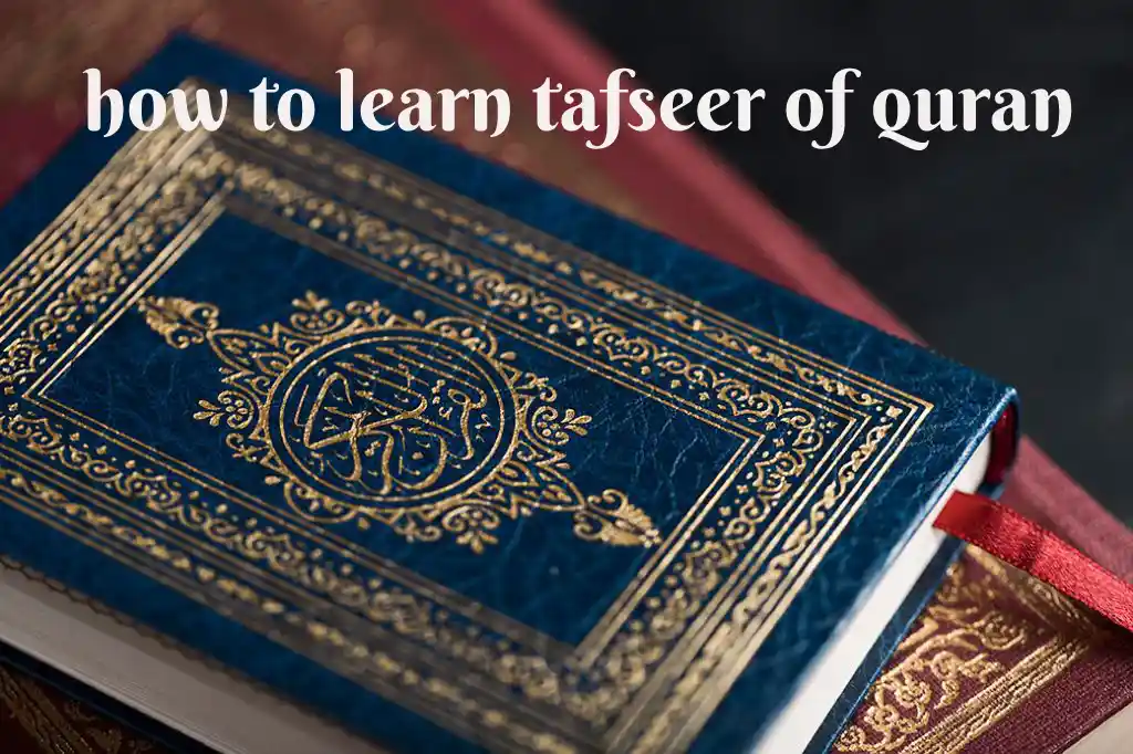 how to learn tafseer of quran?