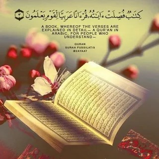 What are the lessons learned from surah Fussilat?