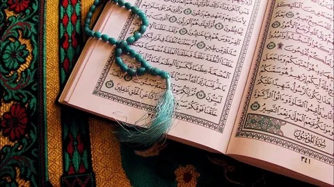 The Best Surahs In The Quran