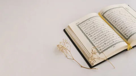 Learn Tafsir Al Quran Online