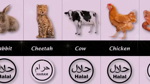 4 Types of haram meats