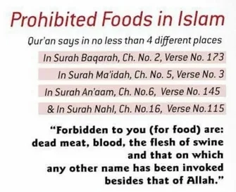 prohibited food In Islam 