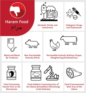 What is the prohibited food in islam