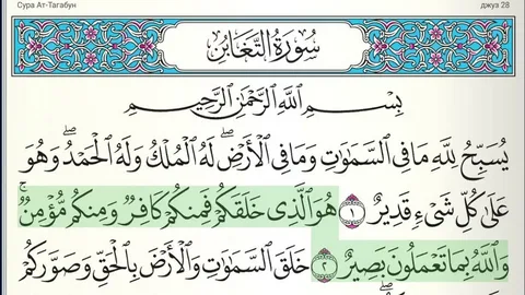 the Powerful surah taghabun benefits | Arabian Tongue