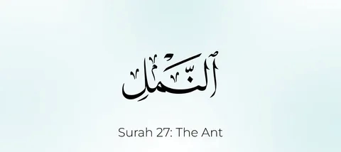 surah naml benefits