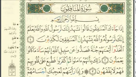 Surah Munafiqun Benefits 