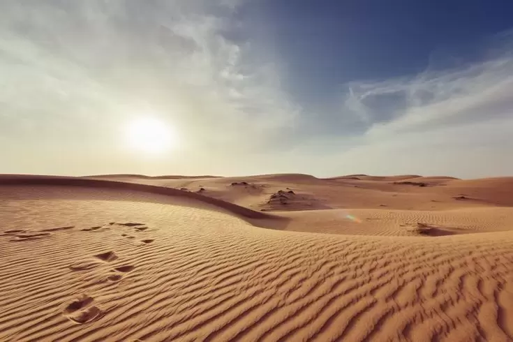 d361fb5c4dfda388a01f283aa35646b4 - Arabian Tongue