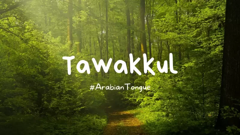 Understanding Tawakkul: Trusting in Allah