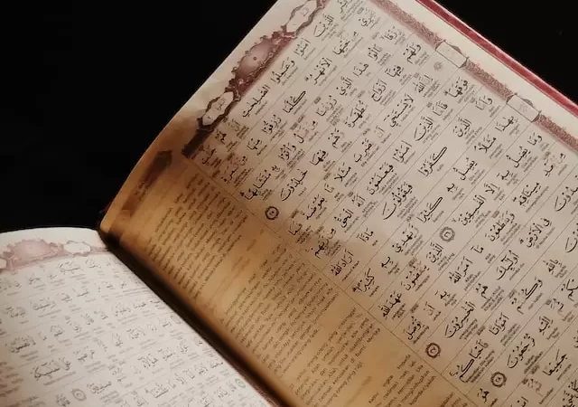 Learning To Read The Holy Quran Online